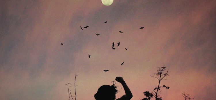 Hautpflege nach Mondphasen: Mythos oder magischer Effekt? Pexels luizclas 170497 556669